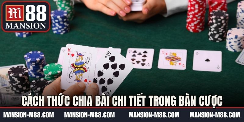Cách thức chia bài chi tiết trong bàn cược