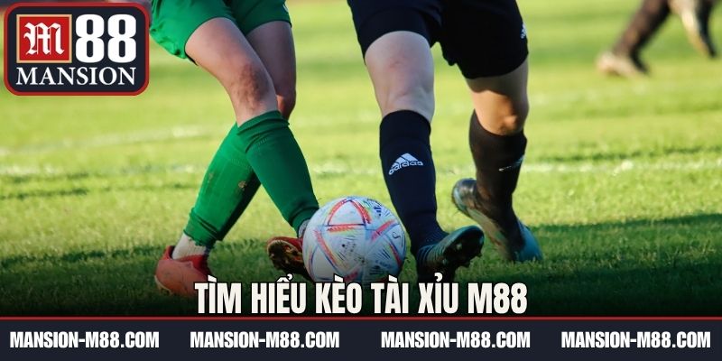 Tìm hiểu kèo tài xỉu M88
