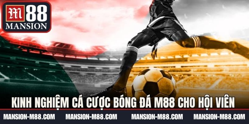 Kinh nghiệm cá cược bóng đá M88 cho hội viên mới