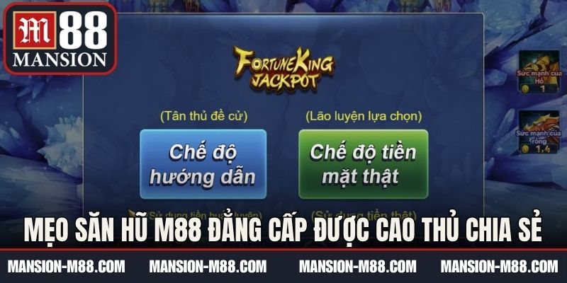 Những mẹo săn hũ M88 đẳng cấp được cao thủ chia sẻ