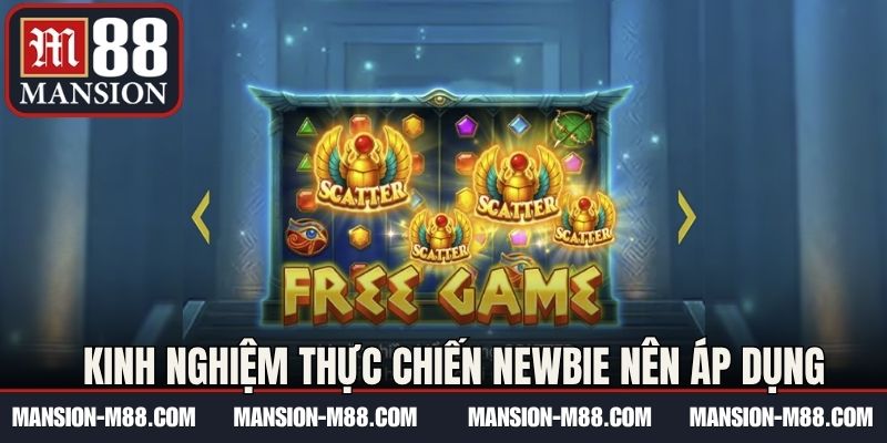 Kinh nghiệm thực chiến newbie nên áp dụng